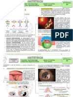 04 Obs 10 02 Placenta