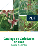 Catlogovariedadesdeyuca Cauca Col