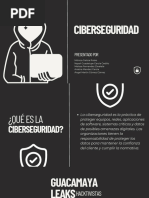 Ciberseguridad