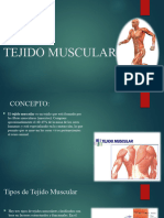 Tejido Muscular