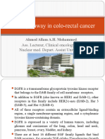 Egfr in Colorectal