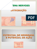 AULA 3 e 4. SN - Pot. de Membrana e Pot. de Ação