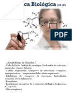 Teorico 5 Metabolismo Glucidos 2