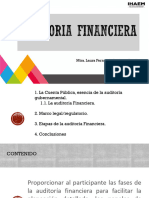 Auditoria Financiera Zoom