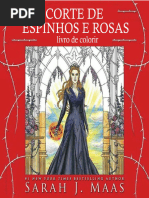 Corte de Espinhos e Rosas Livro de Colorir - Sarah J. Maas