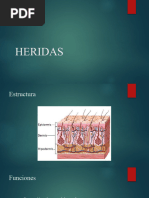 Heridas Capacitacion Dismovil