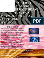 Cell Structure and Function