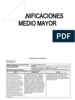 7 Planificaciones Medio Mayor