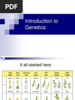 Genetics Power Point