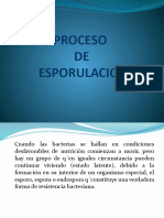 D PROCESO DE ESPORULACION Tema 4