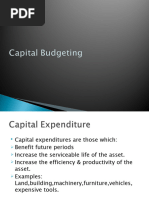 Capbudget