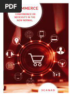 SCANAD E Commerce Report