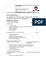 CV Ruth Flores