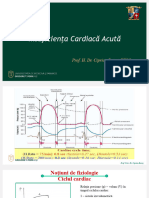 Insuficienta Cardiaca Acuta 2022 2023 Kumar