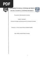 Unidad 2 Actividad 2. Acciones de Trabajo Social para Prevenir Las Conductas Criminales