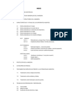 Patologia de Las Estructuras de Madera