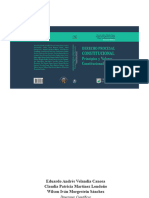 Velandia Canosa, Eduardo Andrés Et - Al (Directores Científicos) - Derecho Procesal Constitucional. Principios y Valores Constitucionales