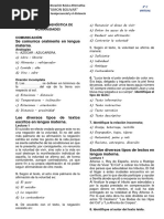 3° Eval. Diagnostica Humanidades