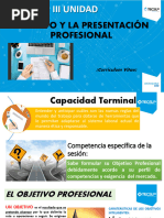 03 Diapositivas. Objetivo y Presentación Profesional