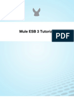 Mule Esb 3 Tutorial