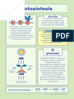 Fotosintesis Infografia