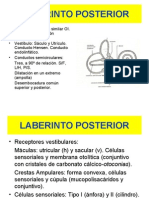 1-12 Laberinto Posterior