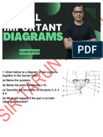 Reproductive System Diagram Questions - 0e127ec1 04bd 44df 8218 B21116a7baa0