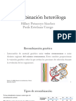 Recombinación Heteróloga - BF