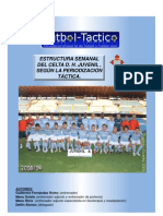 Microciclo Del Celta Juvenil, Periodización Táctica