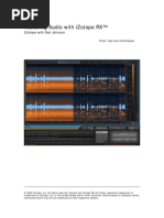 Izotope RX Restoration Guide V 1