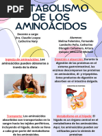 Metabolismo de Los Aminoacidos Expo 11