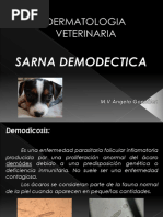 Sarna Demodectica y Sarcoptica