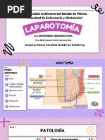 Laparotomía Exploratoria (Técnica Quirúrgica)