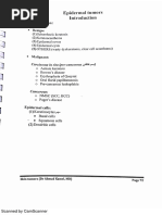 Tumors DR Ahmed Kamel