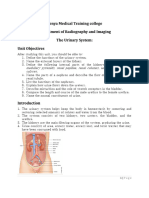 Ran Ii-Urinary System - 123718