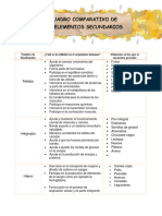 Cuadro Comparativo - Bioelementos Secundarios