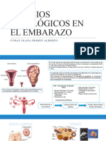 Jhordy Curay - Definicion de Embarazo y Cambios Fisiologicos Del Embarazo