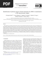 Identification of Primary Tumors of Brain Metastases by SIMCA Classification of IR Spectroscopic Images