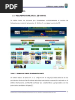 Teoría Recuperación Mejorada-Térmica y Simulación