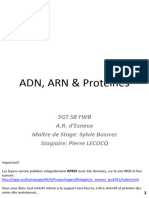 ADN ARN Et Protéines 5GTSB - Short