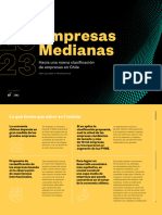 Empresas Medianas Final