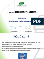 Módulo 1 - Neuropedagogía