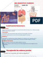 SESION 22 Sistema Digestivo H CyT 4to (O)