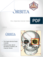 Tema 3 Órbita