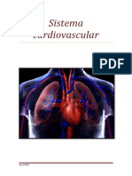 Sistema Cardiovascular