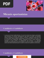 Micosis Oportunistas