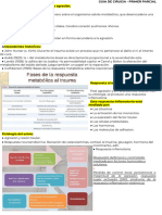 Curugia Primer Parcial