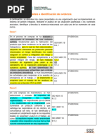 Actividad de Aprendizaje - Análisis e Identificación de Evidencia ISO 19011