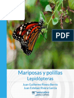 Mariposas y Polillas