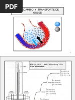 Intercambio de Gases (III)